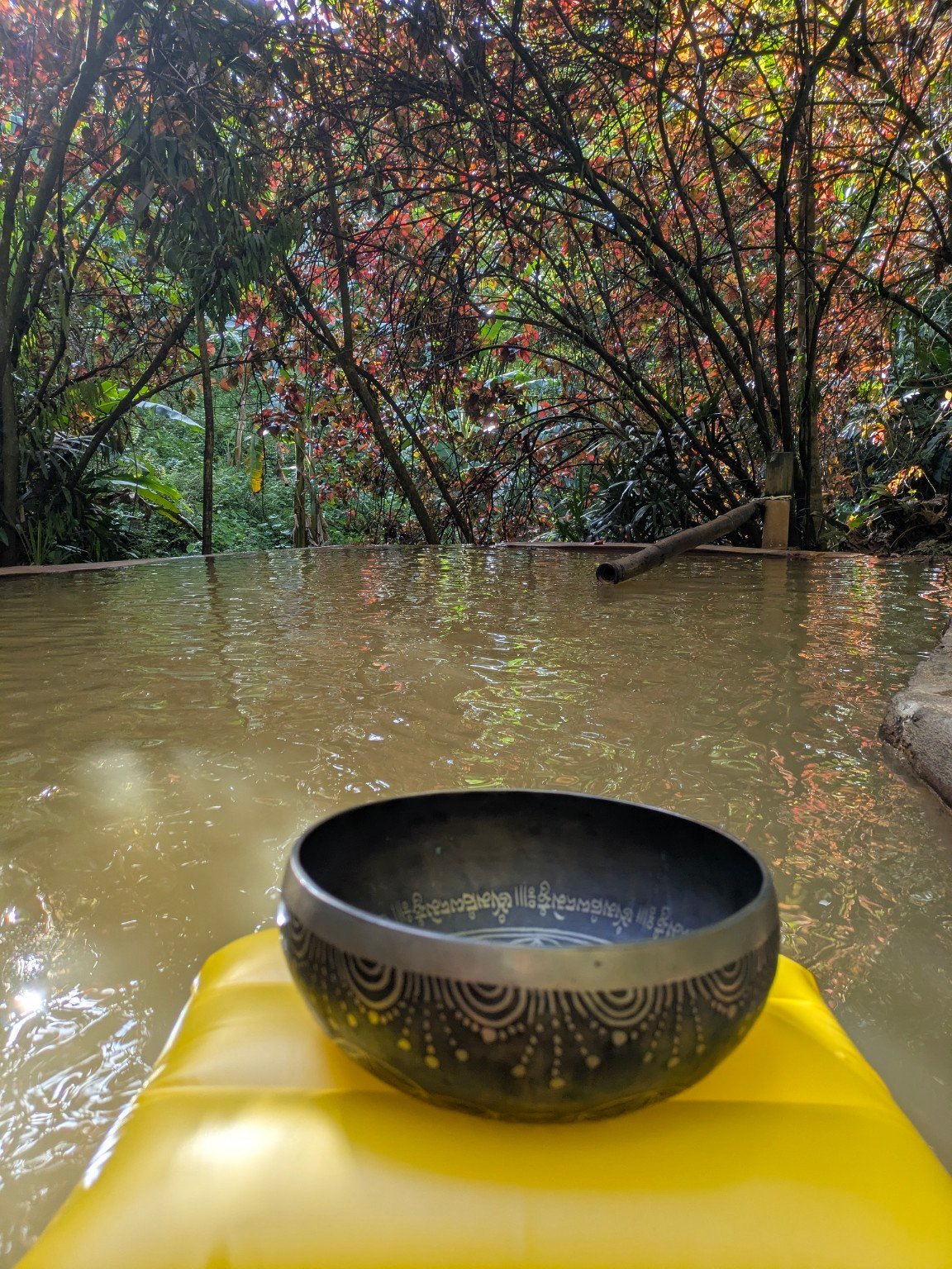 Immersion sonore à la rivière